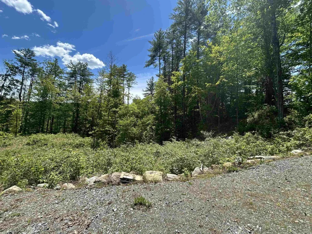 14 Sugar Lot Lane Jamaica VT 05343