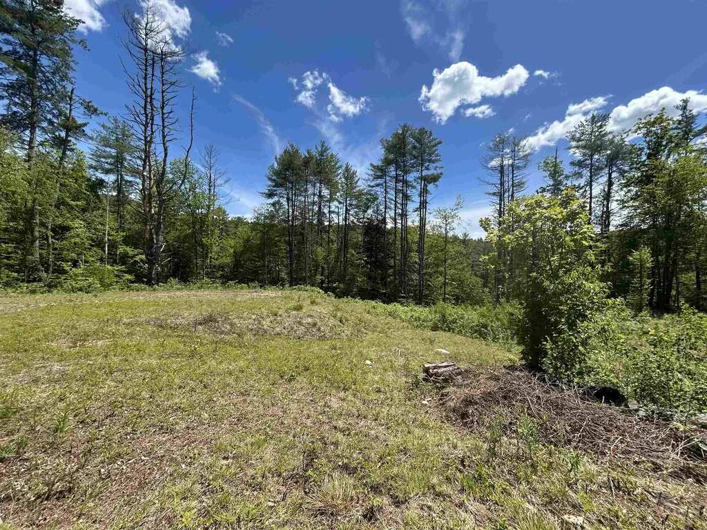 14 Sugar Lot Lane Jamaica VT 05343