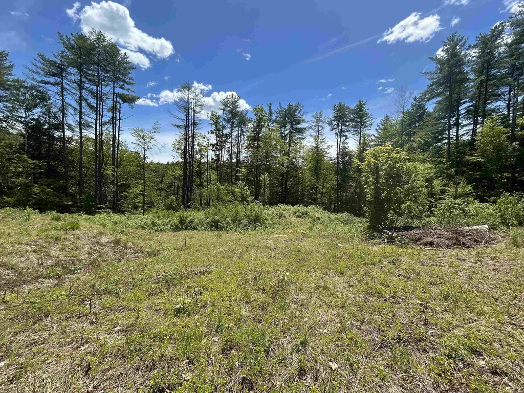 14 Sugar Lot Lane Jamaica VT 05343