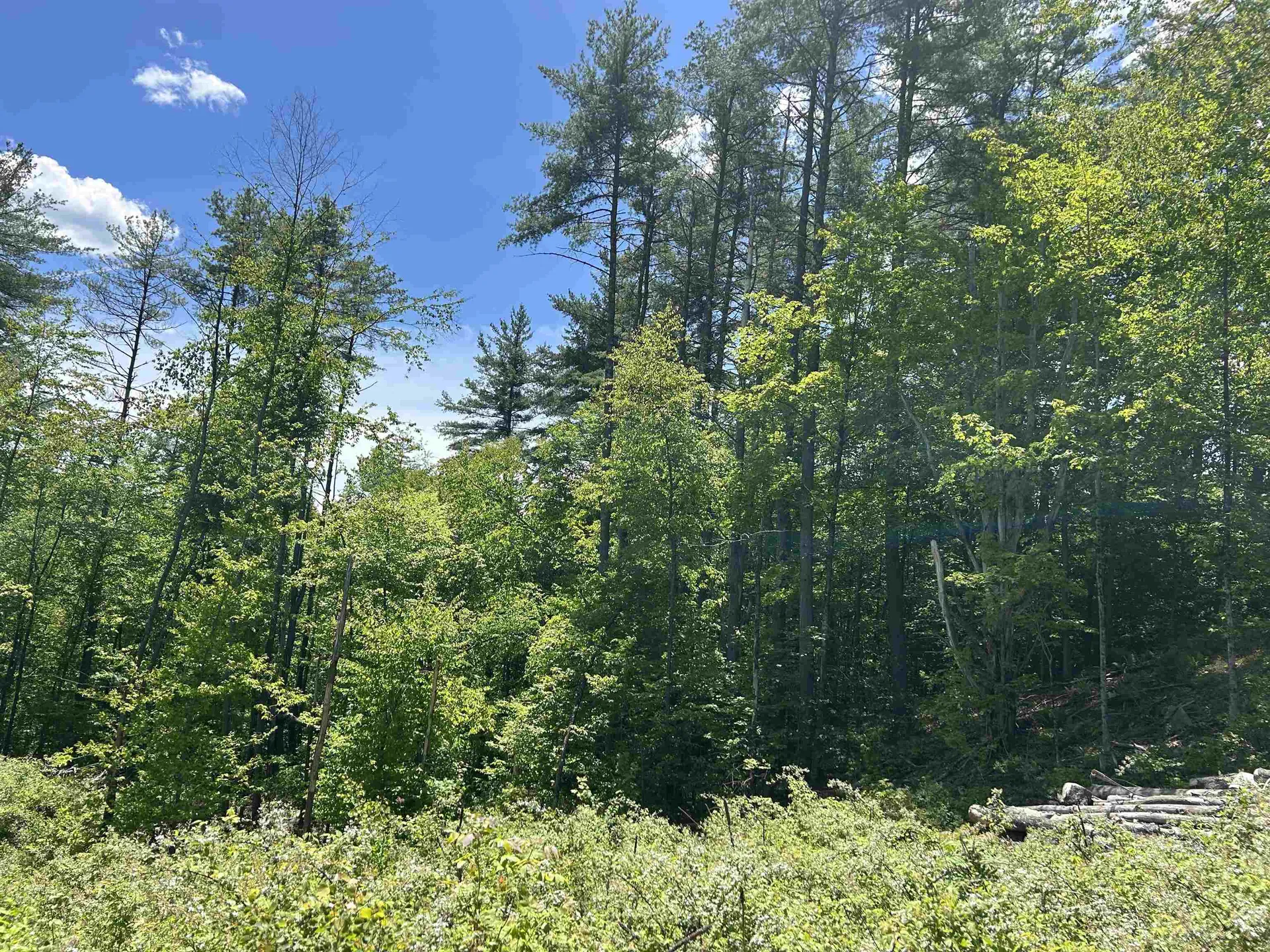 14 Sugar Lot Lane Jamaica VT 05343