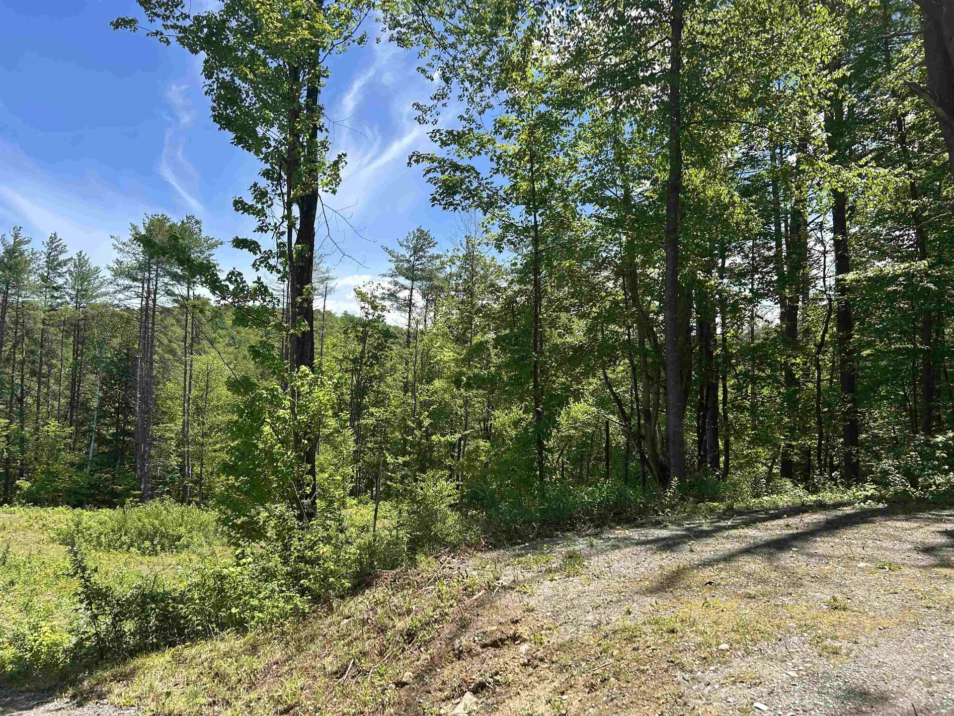 14 Sugar Lot Lane Jamaica VT 05343