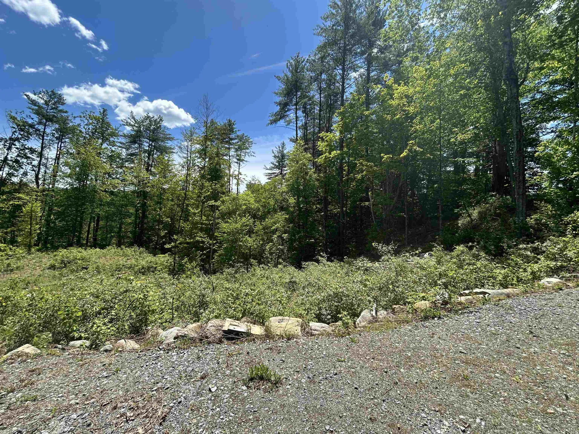 14 Sugar Lot Lane Jamaica VT 05343