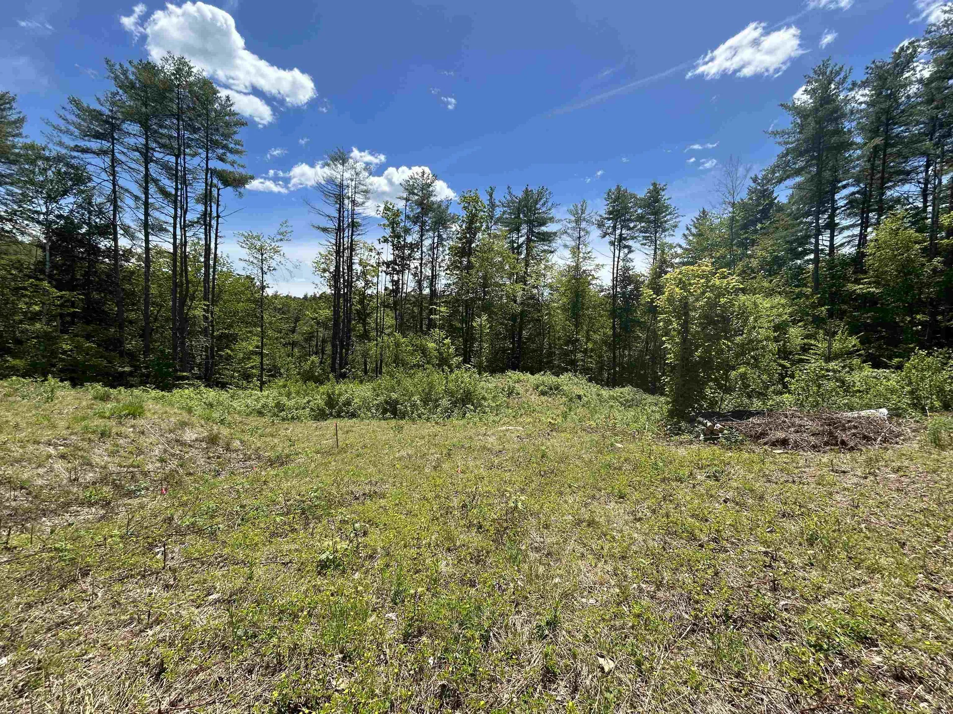 14 Sugar Lot Lane Jamaica VT 05343