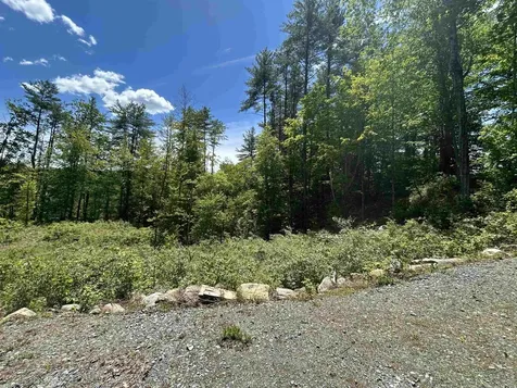 14 Sugar Lot Lane Jamaica VT 05343