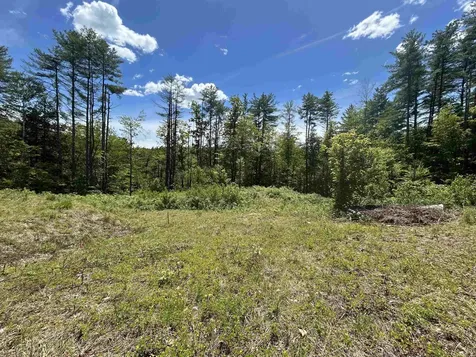 14 Sugar Lot Lane Jamaica VT 05343