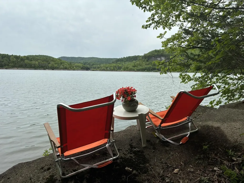 613 Stony Point Road Benson VT 05743