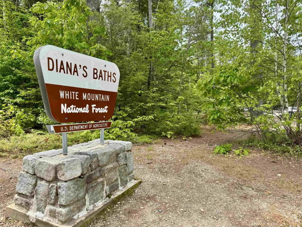 24 West Side Woods Road Bartlett NH 03812