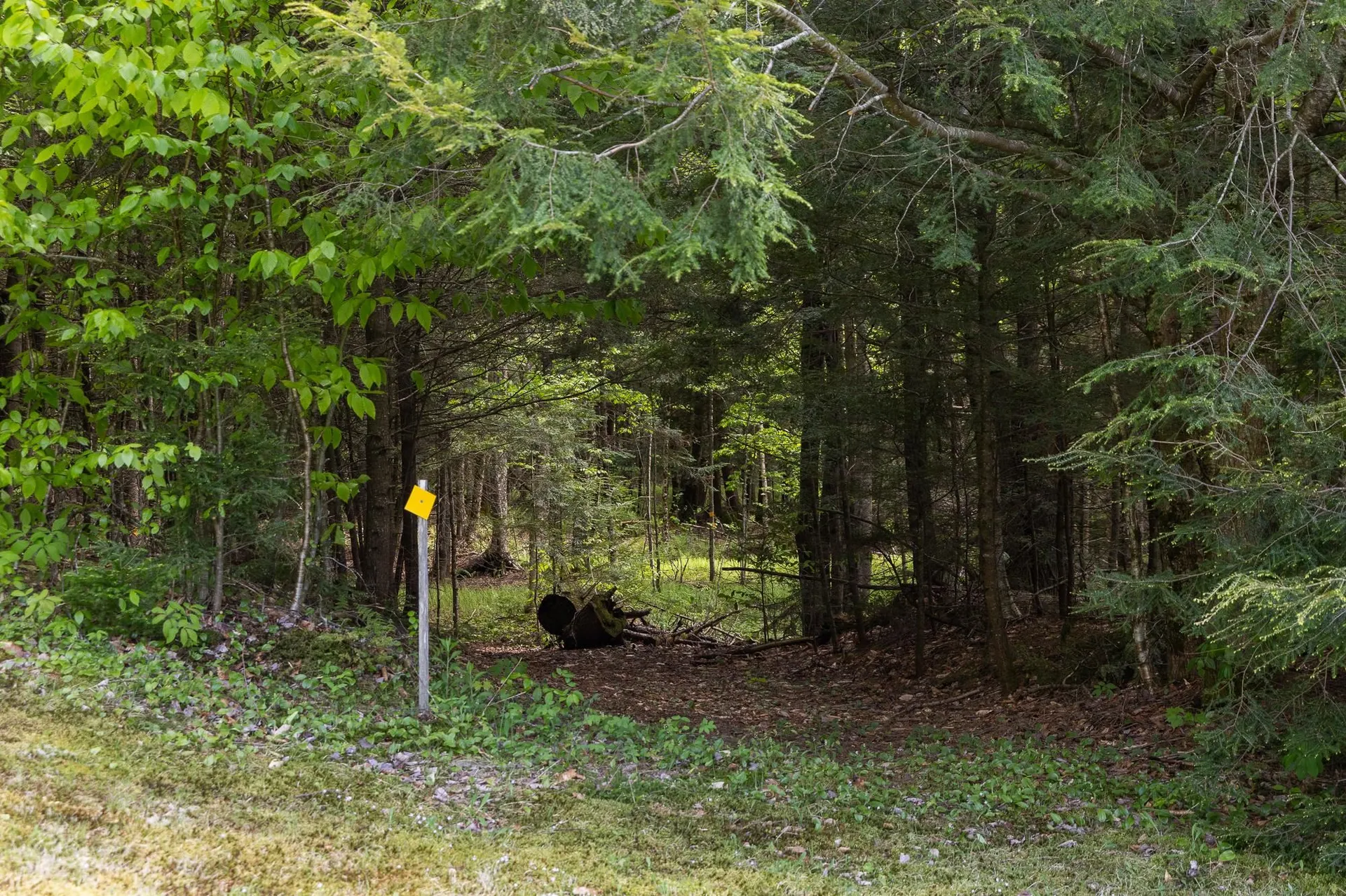 462 Solar Way Drive Hyde Park VT 05655
