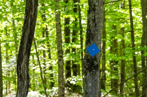 462 Solar Way Drive Hyde Park VT 05655