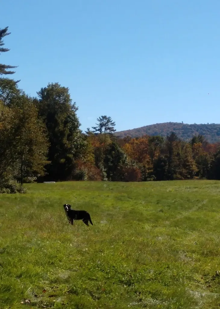 00 Cutler Road Plainfield NH 03781