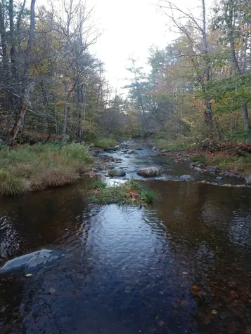 4 Cutler Road Plainfield NH 03781