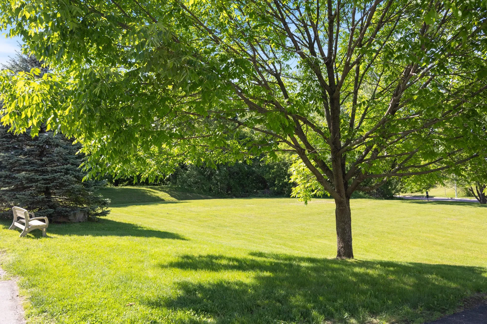 311 Abigail Drive Colchester VT 05446
