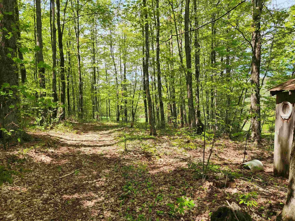 3517 Colvin Hill Road Danby VT 05739