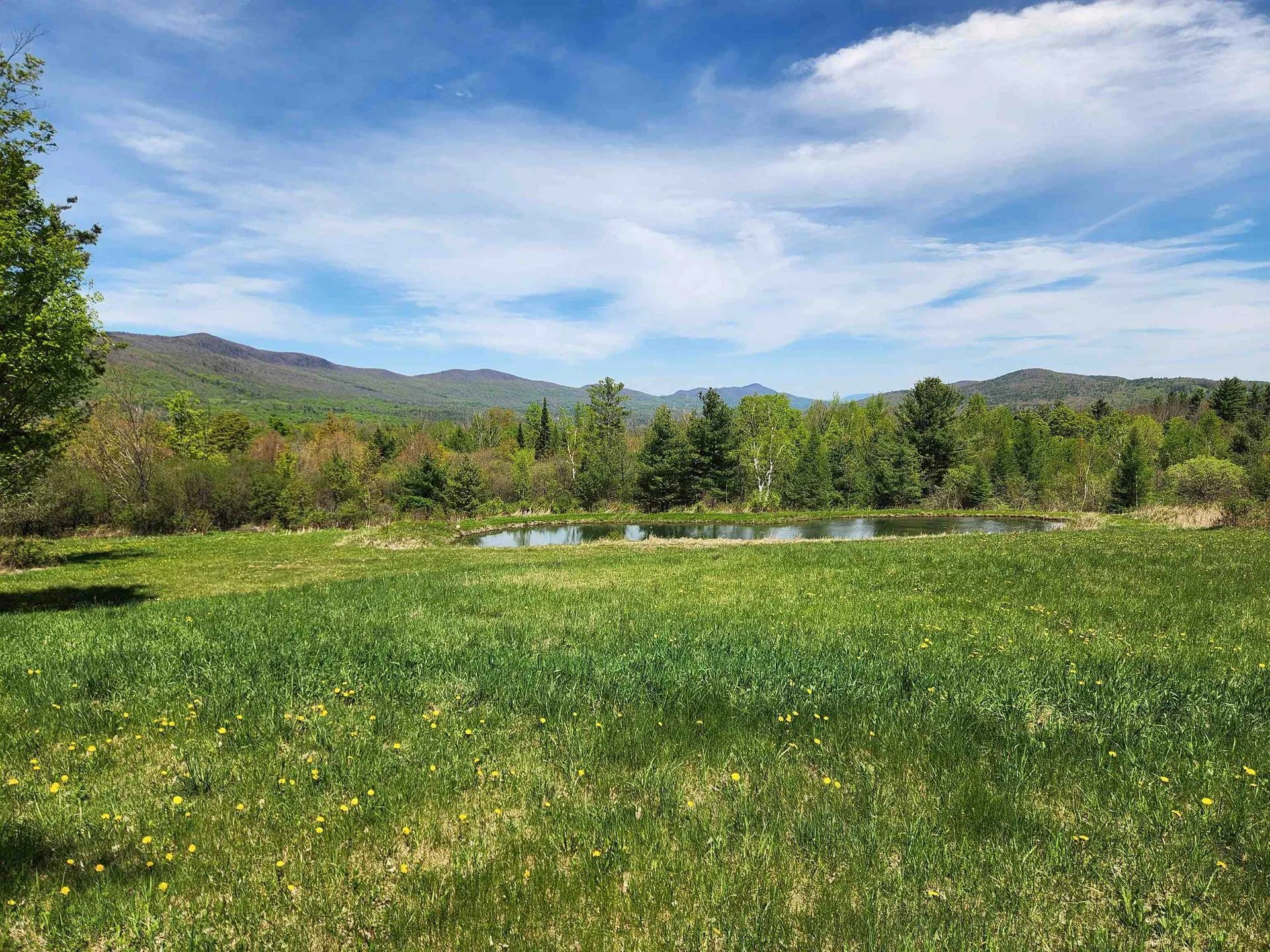 3517 Colvin Hill Road Danby VT 05739