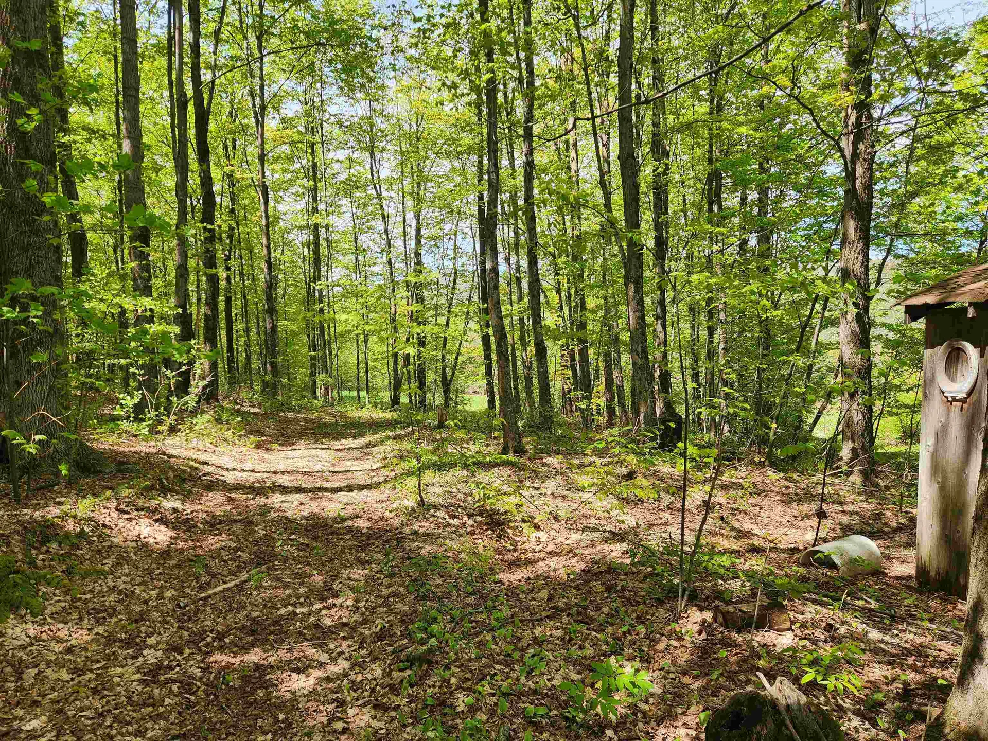 3517 Colvin Hill Road Danby VT 05739