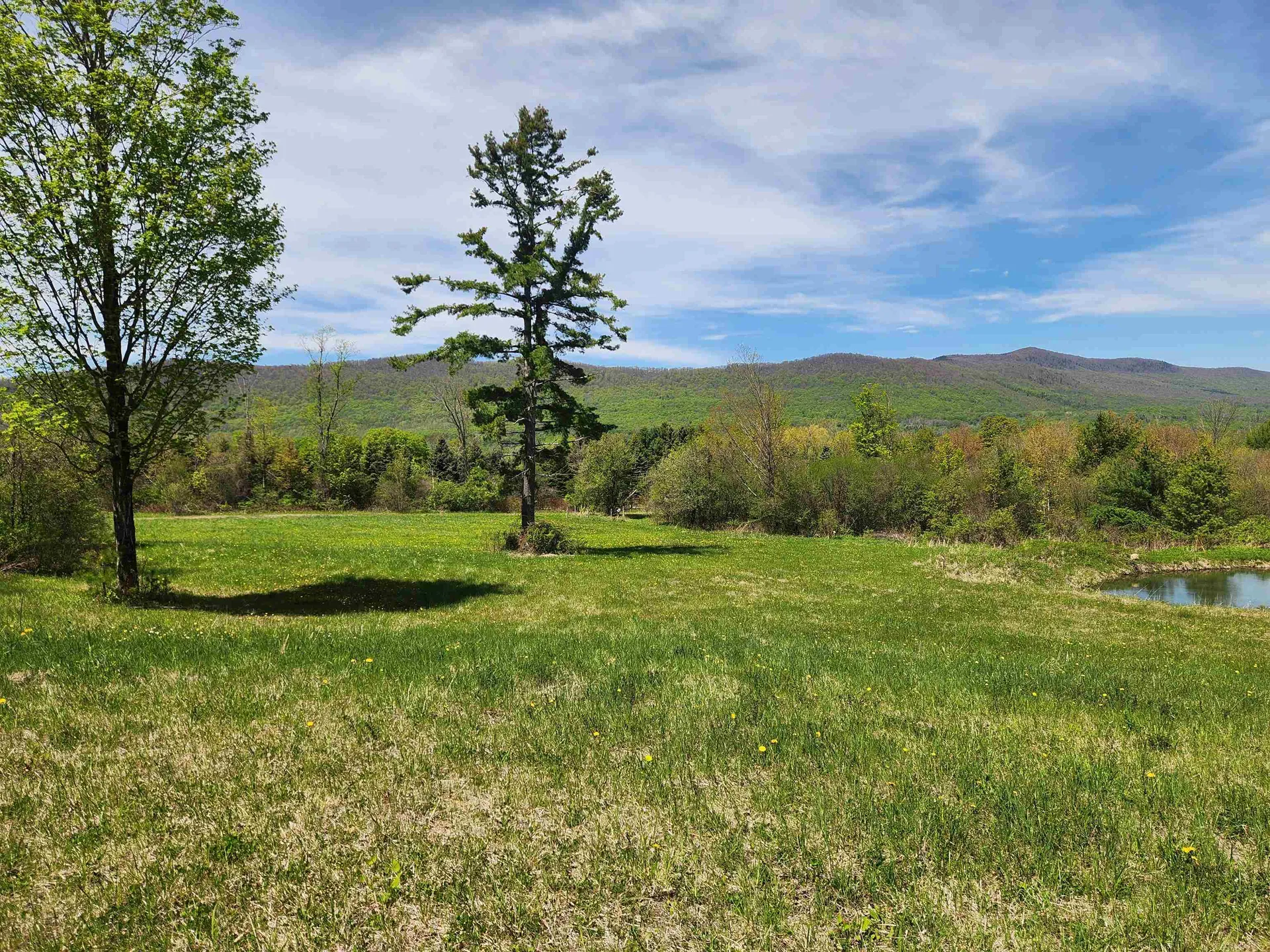 3517 Colvin Hill Road Danby VT 05739