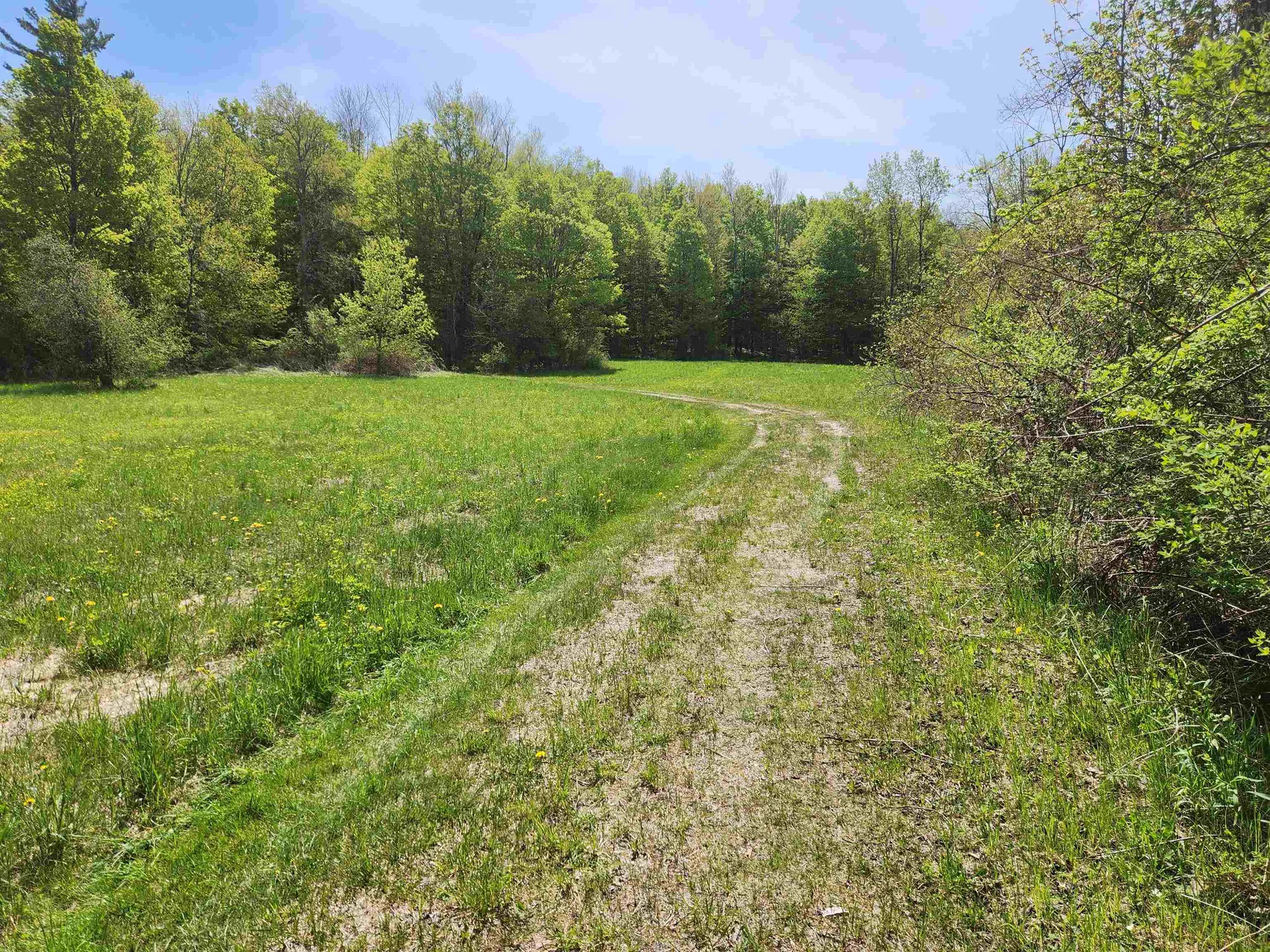 3517 Colvin Hill Road Danby VT 05739