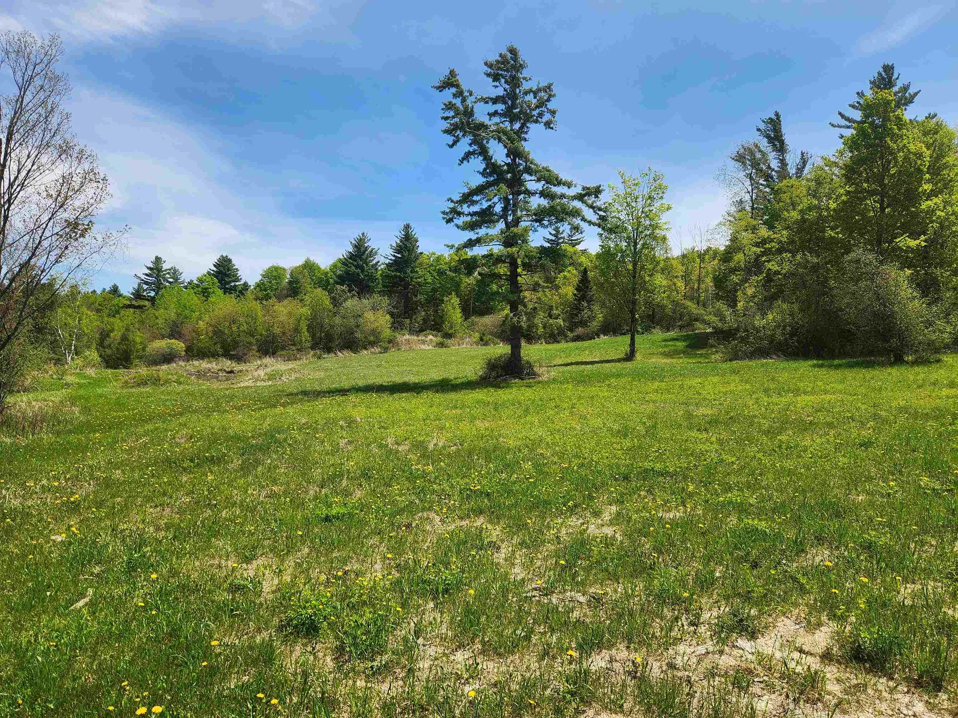 3517 Colvin Hill Road Danby VT 05739