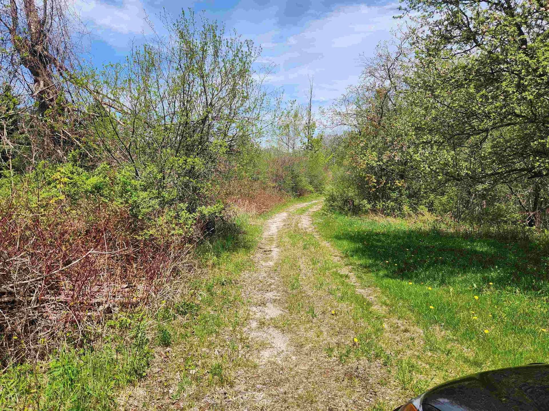 3517 Colvin Hill Road Danby VT 05739