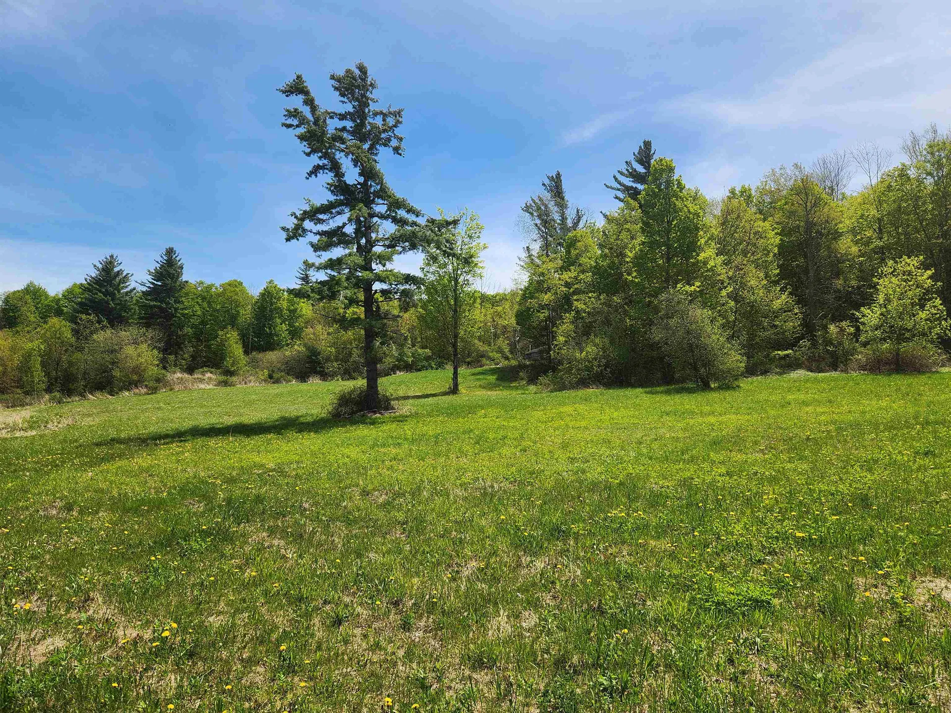 3517 Colvin Hill Road Danby VT 05739