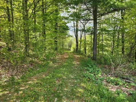 3517 Colvin Hill Road Danby VT 05739