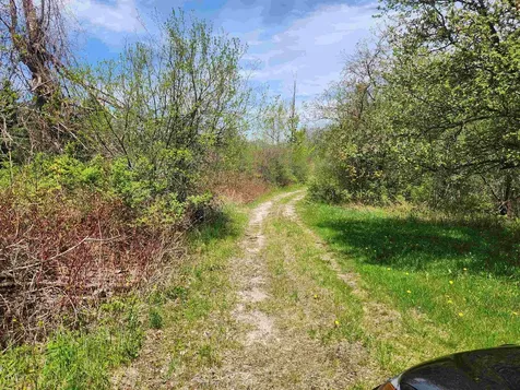 3517 Colvin Hill Road Danby VT 05739