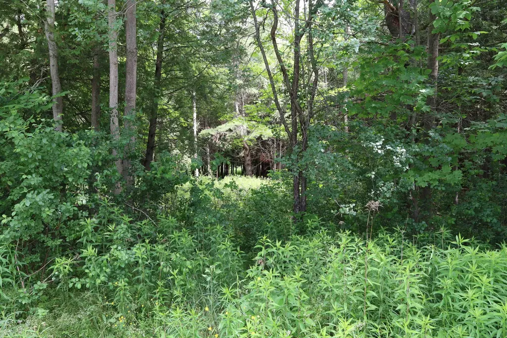 8 Goldsbury Woods Road Barre Town VT 05641
