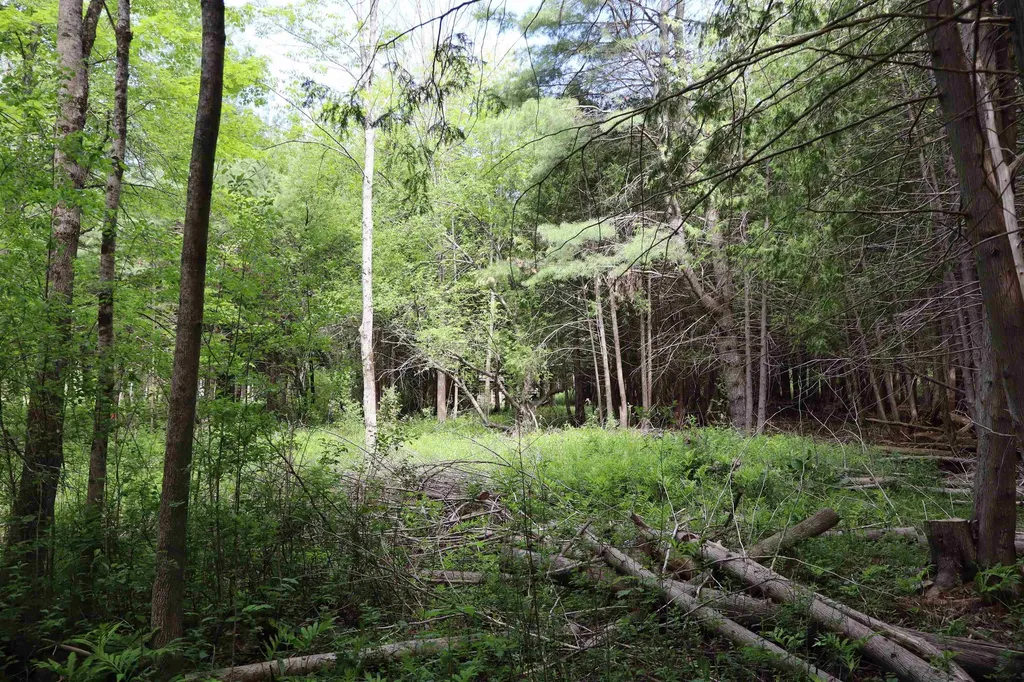 8 Goldsbury Woods Road Barre Town VT 05641