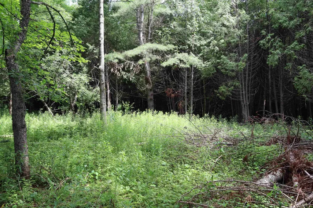 8 Goldsbury Woods Road Barre Town VT 05641