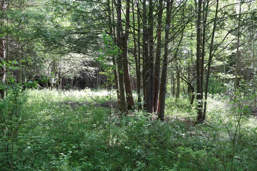 8 Goldsbury Woods Road Barre Town VT 05641
