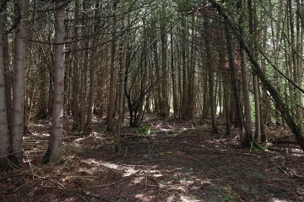 8 Goldsbury Woods Road Barre Town VT 05641