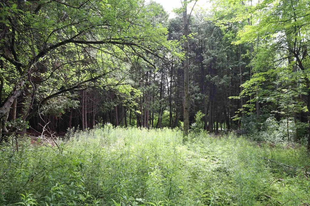 8 Goldsbury Woods Road Barre Town VT 05641