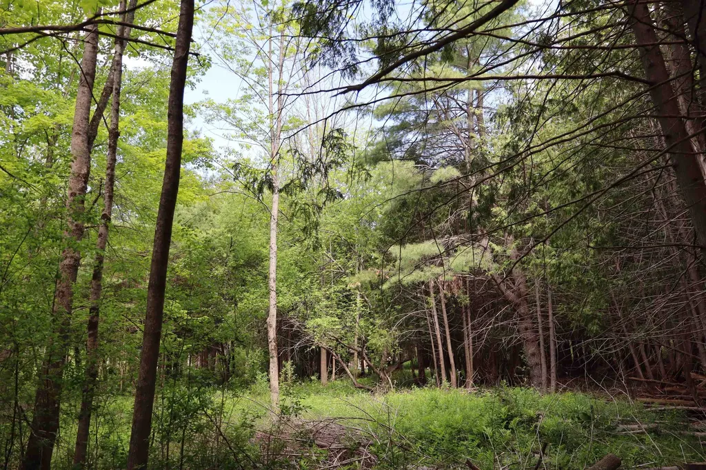 8 Goldsbury Woods Road Barre Town VT 05641