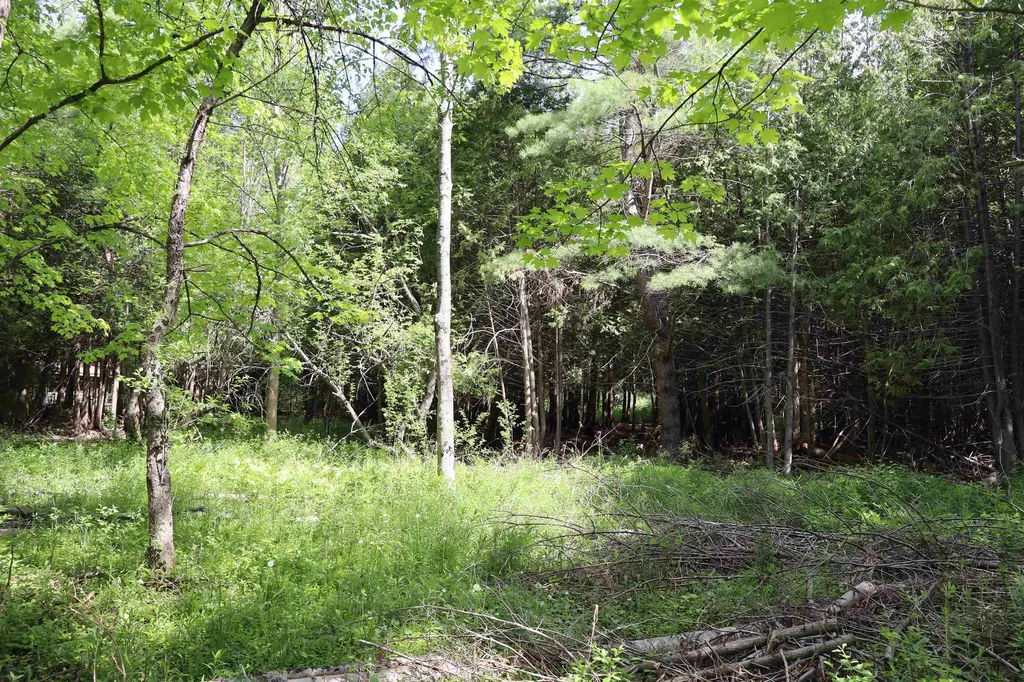 8 Goldsbury Woods Road Barre Town VT 05641