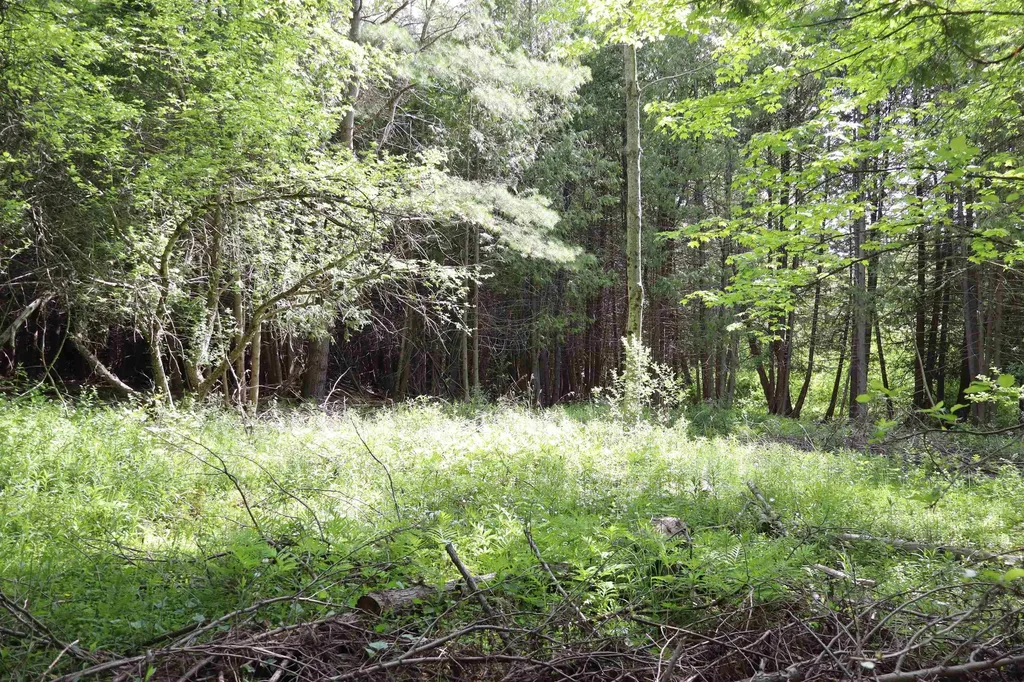 8 Goldsbury Woods Road Barre Town VT 05641