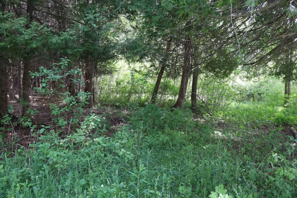 8 Goldsbury Woods Road Barre Town VT 05641