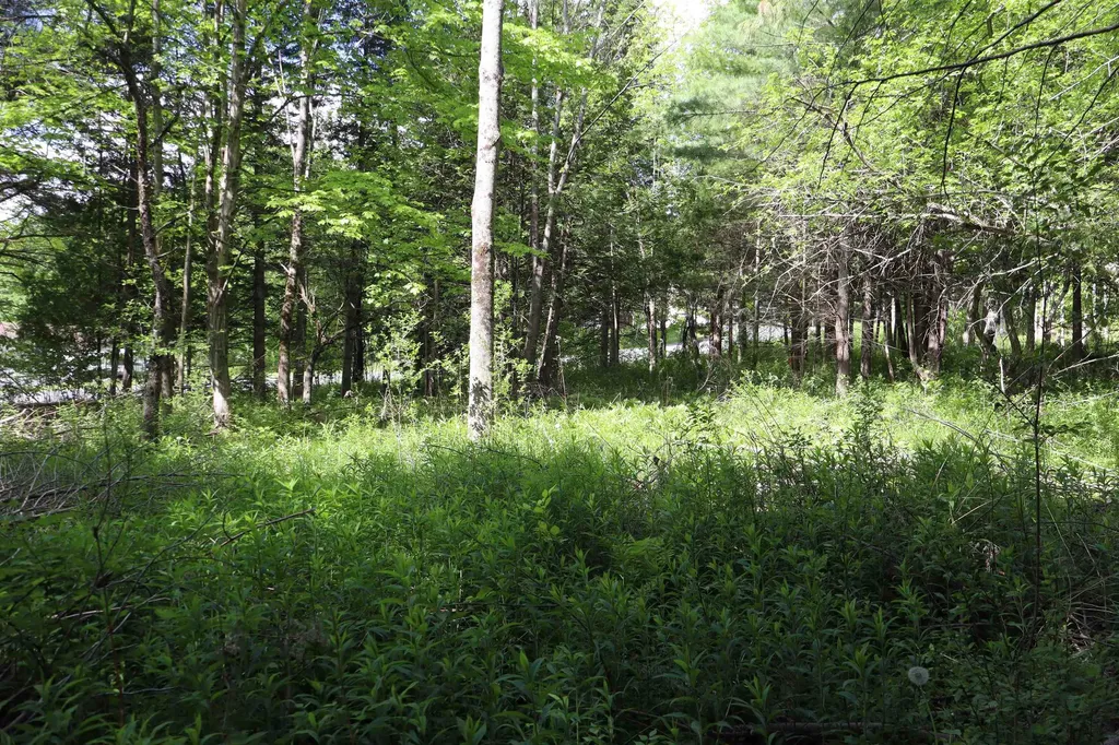 8 Goldsbury Woods Road Barre Town VT 05641