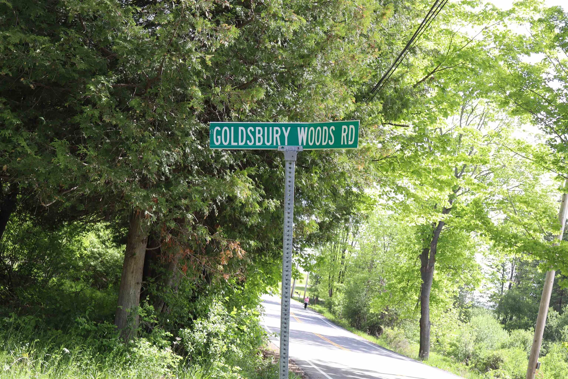 8 Goldsbury Woods Road Barre Town VT 05641