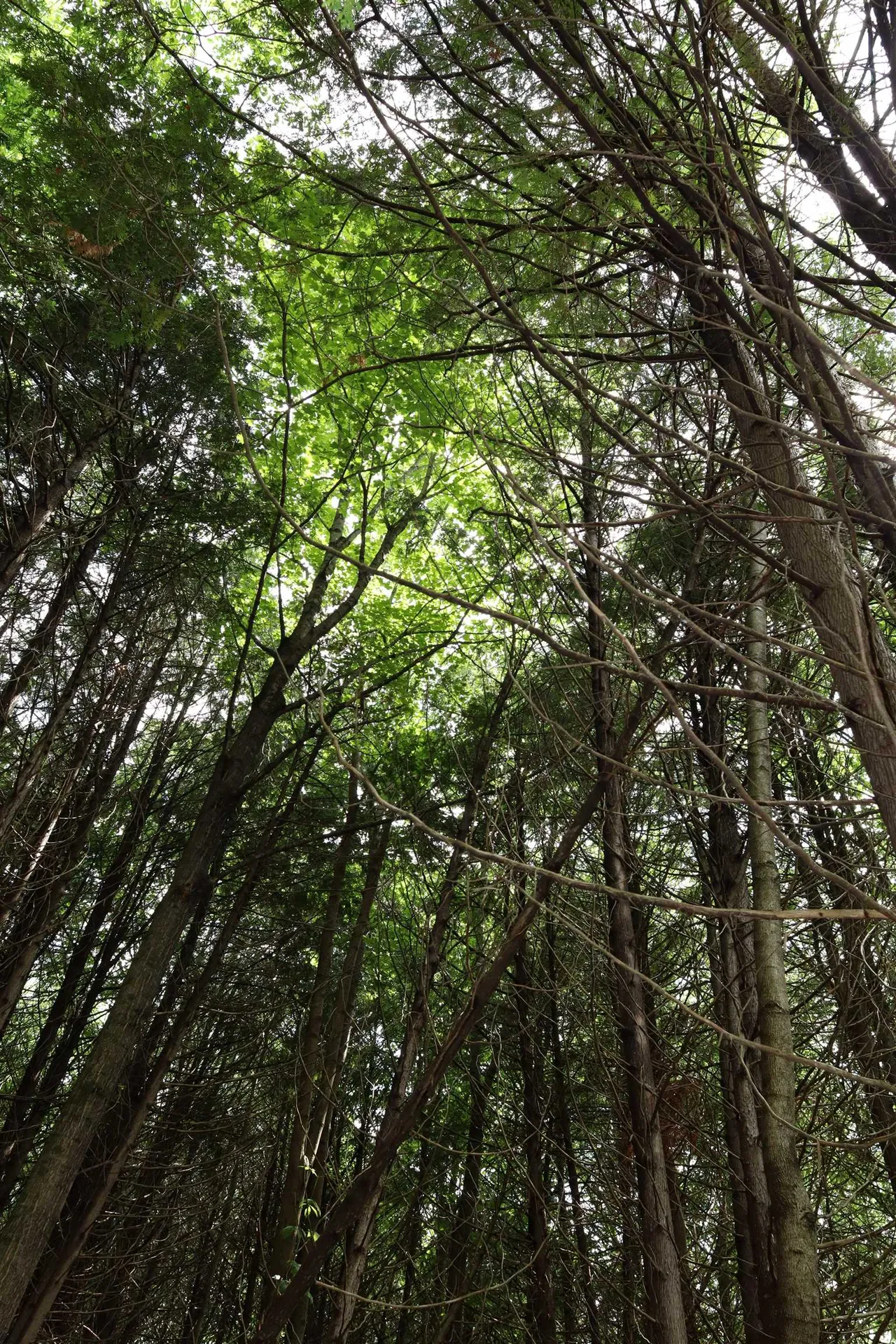8 Goldsbury Woods Road Barre Town VT 05641