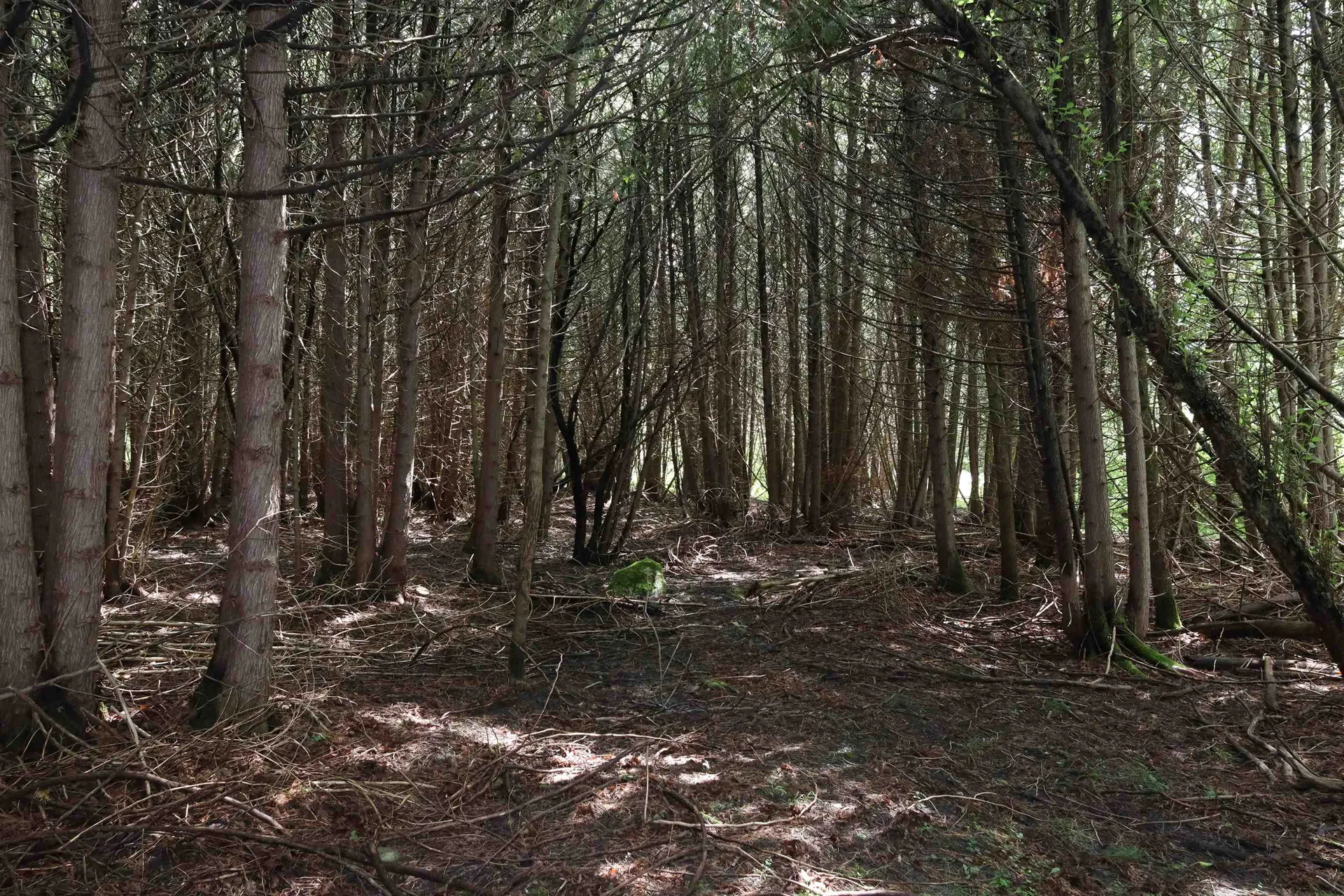 8 Goldsbury Woods Road Barre Town VT 05641