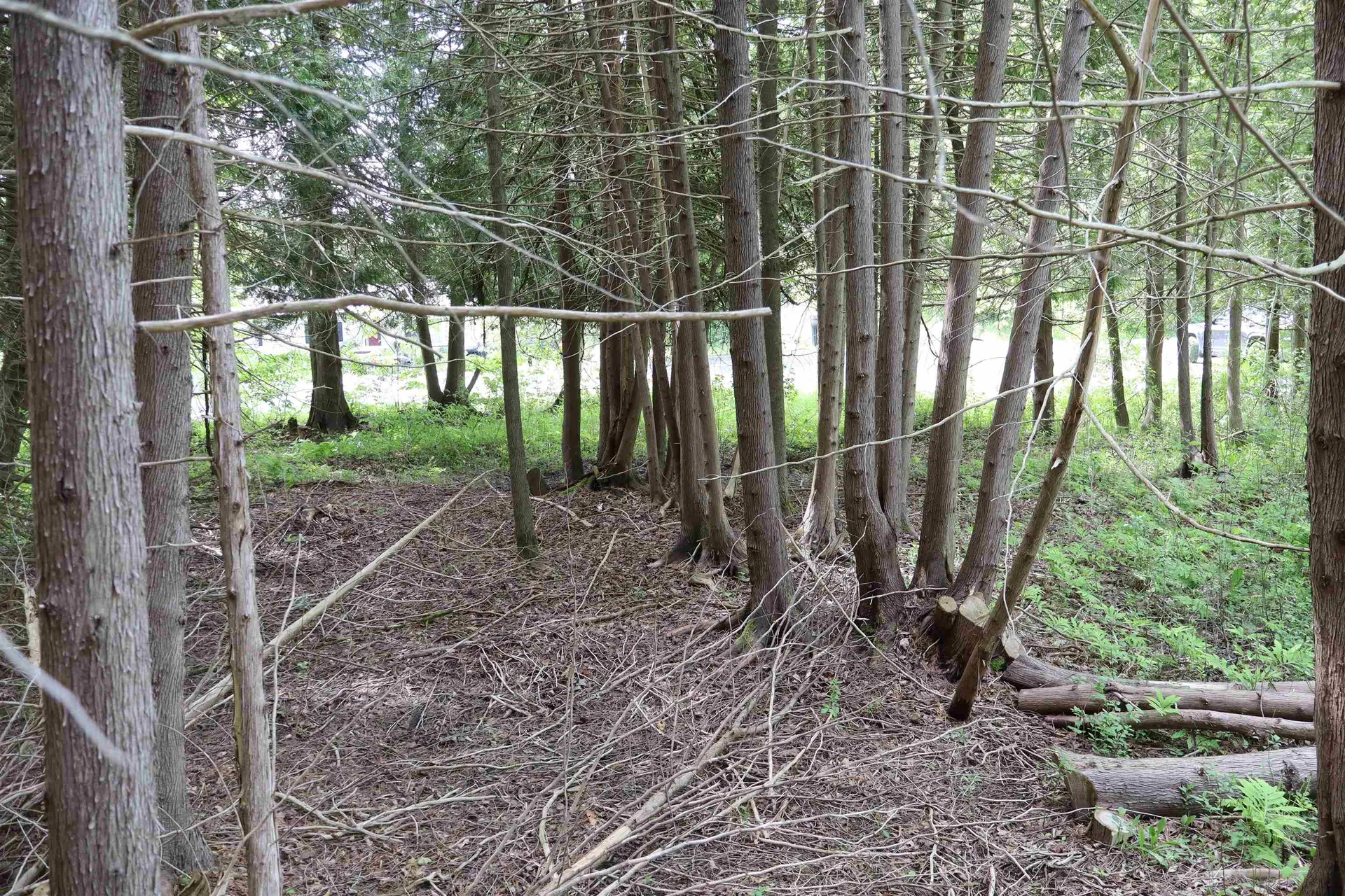 8 Goldsbury Woods Road Barre Town VT 05641