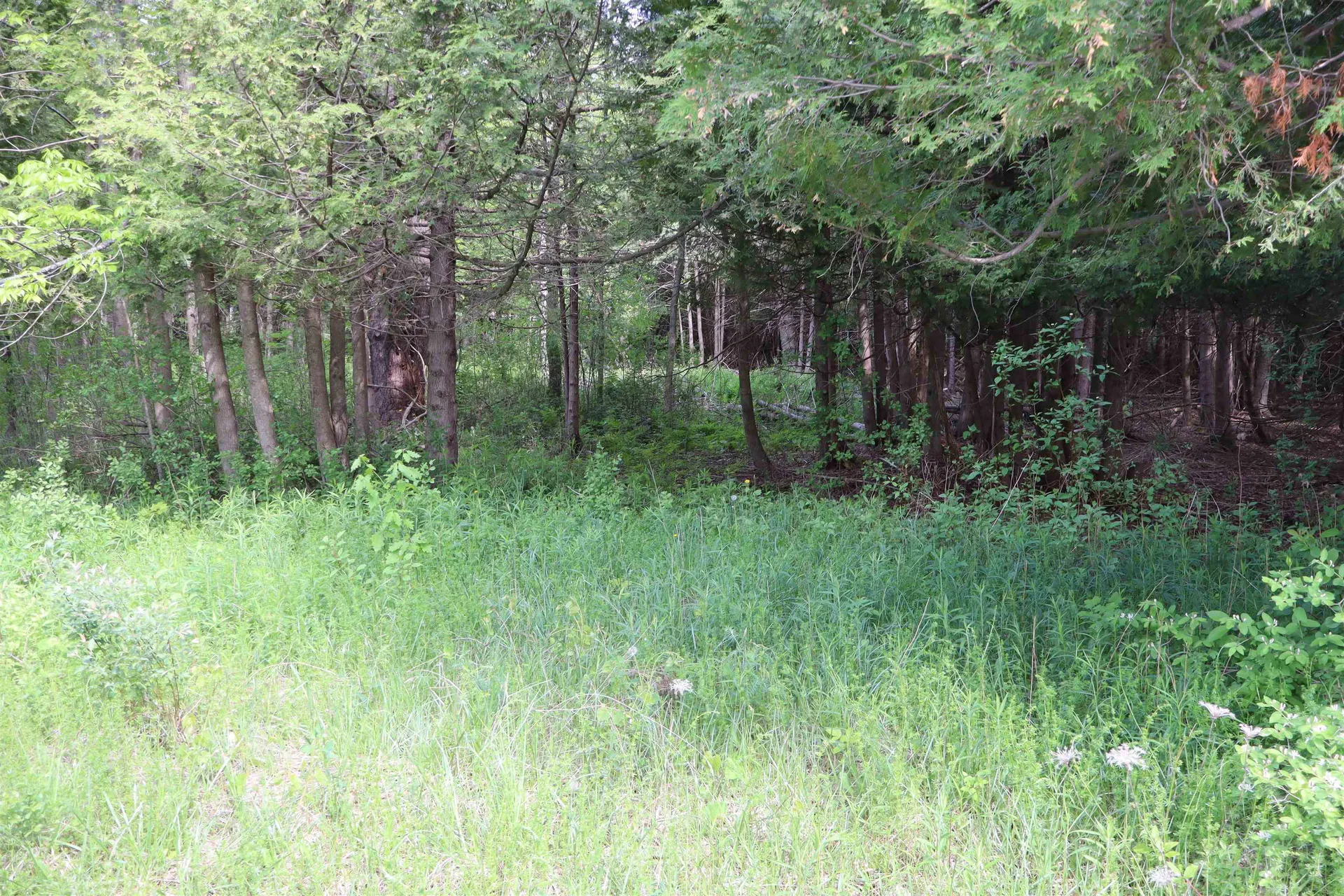 8 Goldsbury Woods Road Barre Town VT 05641
