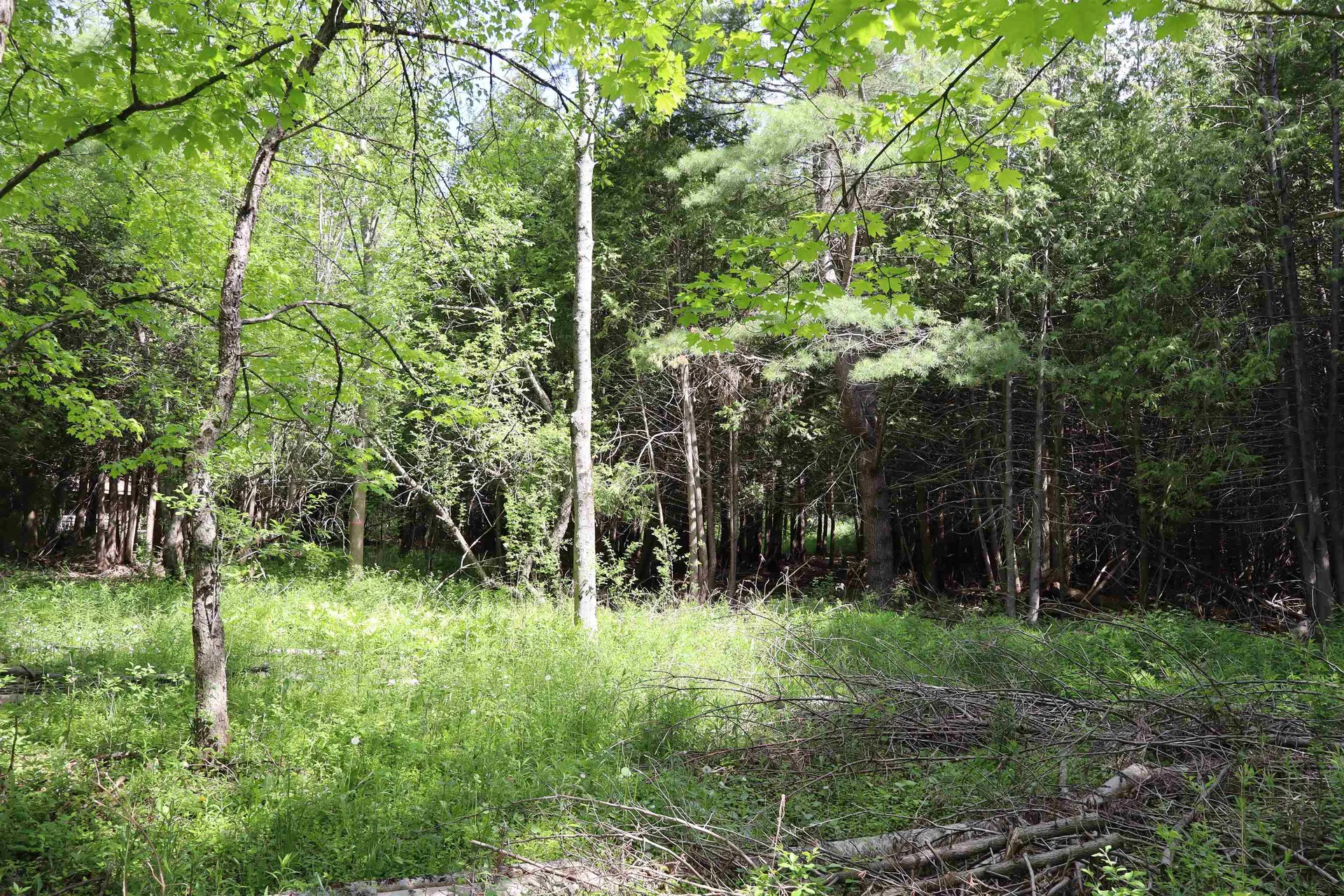 8 Goldsbury Woods Road Barre Town VT 05641