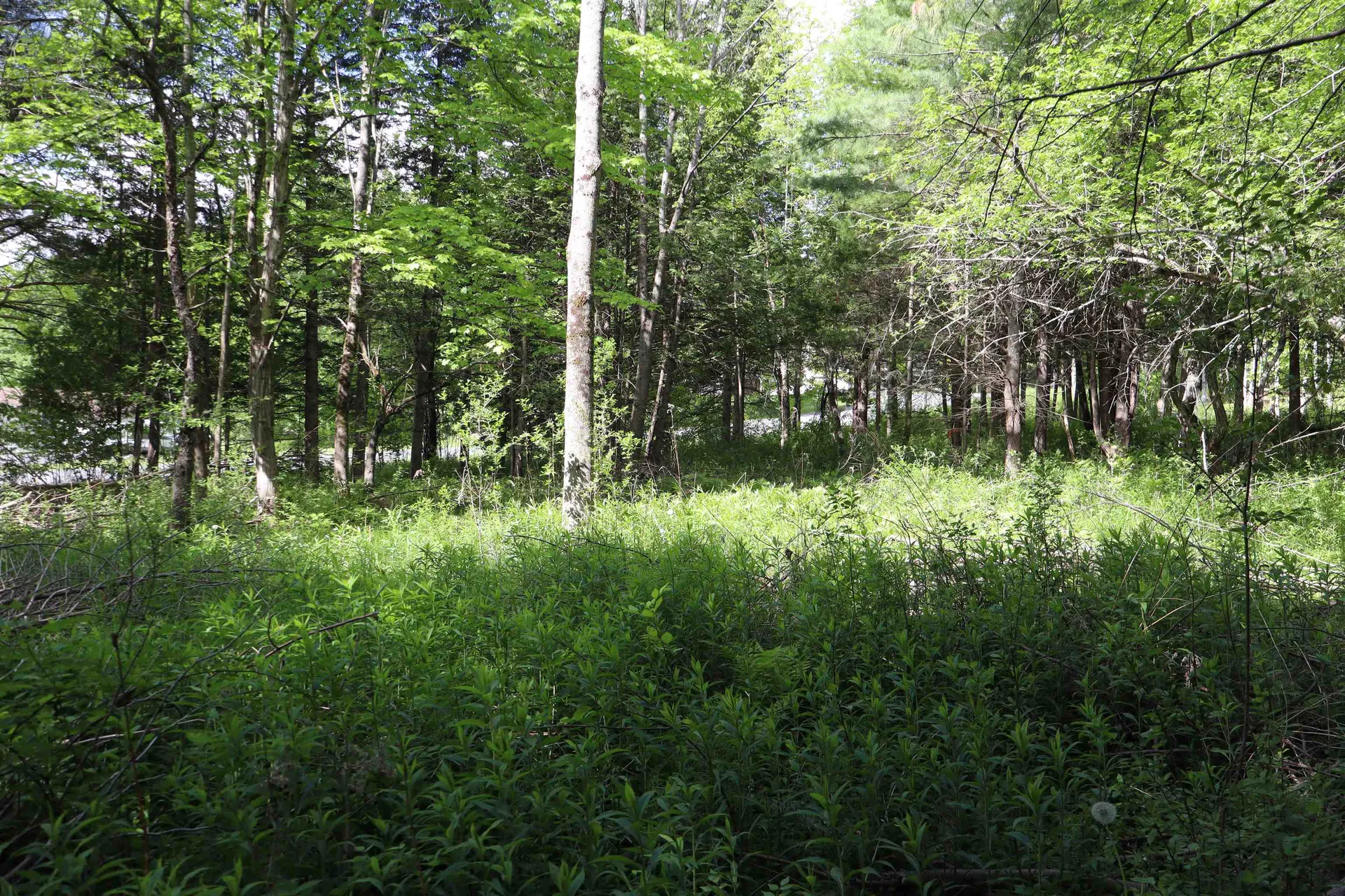 8 Goldsbury Woods Road Barre Town VT 05641