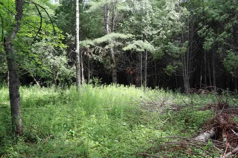 8 Goldsbury Woods Road Barre Town VT 05641