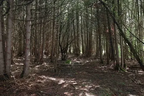 8 Goldsbury Woods Road Barre Town VT 05641