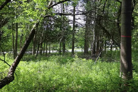 8 Goldsbury Woods Road Barre Town VT 05641