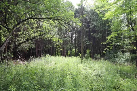 8 Goldsbury Woods Road Barre Town VT 05641