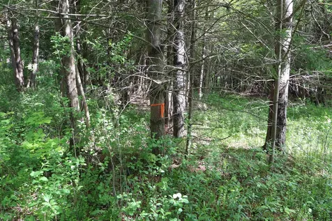 8 Goldsbury Woods Road Barre Town VT 05641