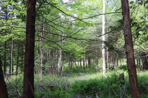 8 Goldsbury Woods Road Barre Town VT 05641